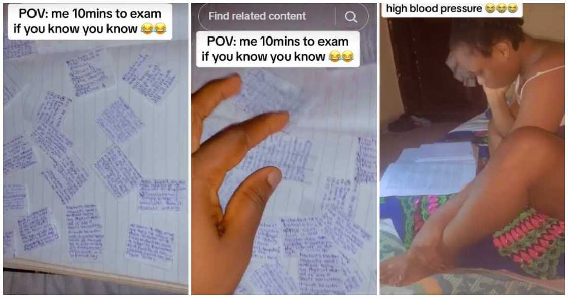 Ebonyi State University, expo, female student, exam, Ezinne Ebonyi State University, expo, female student, exam, Ezinne