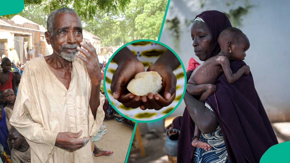 Rahoton Cadre Harmonise ya bayyana miliyoyin 'yan Najeriya da za su kamu da yunwa a 2025 Rahoton Cadre Harmonise ya bayyana miliyoyin 'yan Najeriya da za su kamu da yunwa a 2025