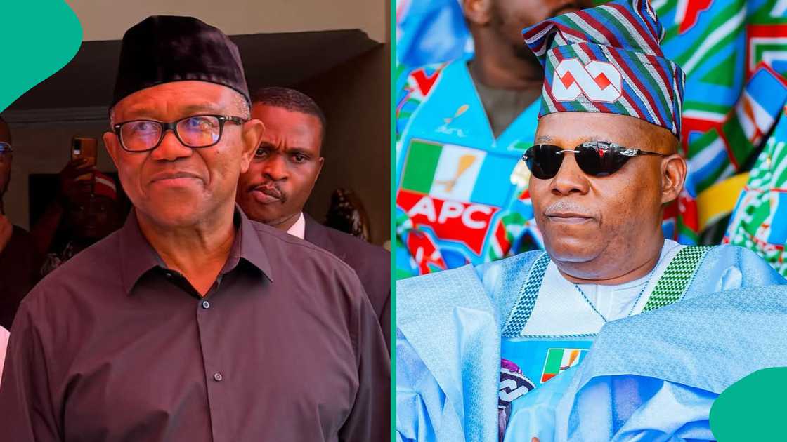 Shettima ya caccaki Peter Obi Shettima ya caccaki Peter Obi