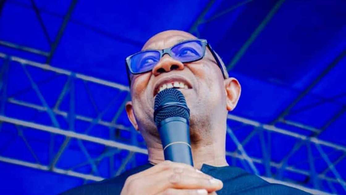 Peter Obi, Anambra, Elections