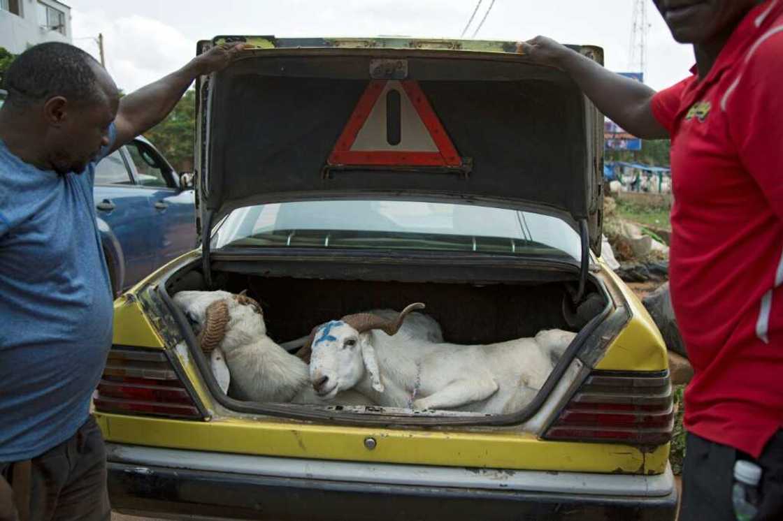 Mali, which has a large pastoral population, is one of the leading suppliers of livestock to West Africa Mali, which has a large pastoral population, is one of the leading suppliers of livestock to West Africa