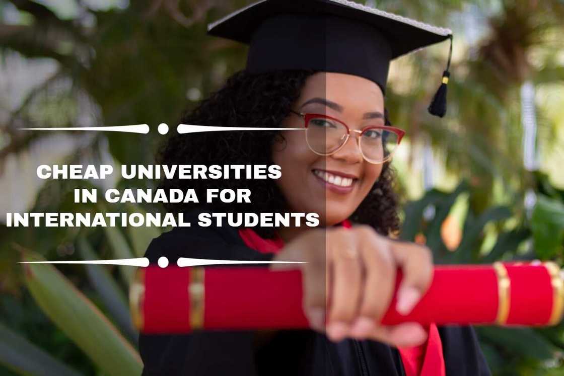 cheap universities in Canada cheap universities in Canada
