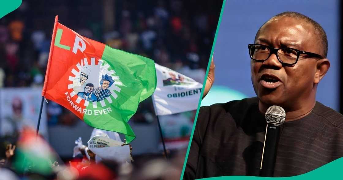 Labour Party and Peter Obi Labour Party and Peter Obi