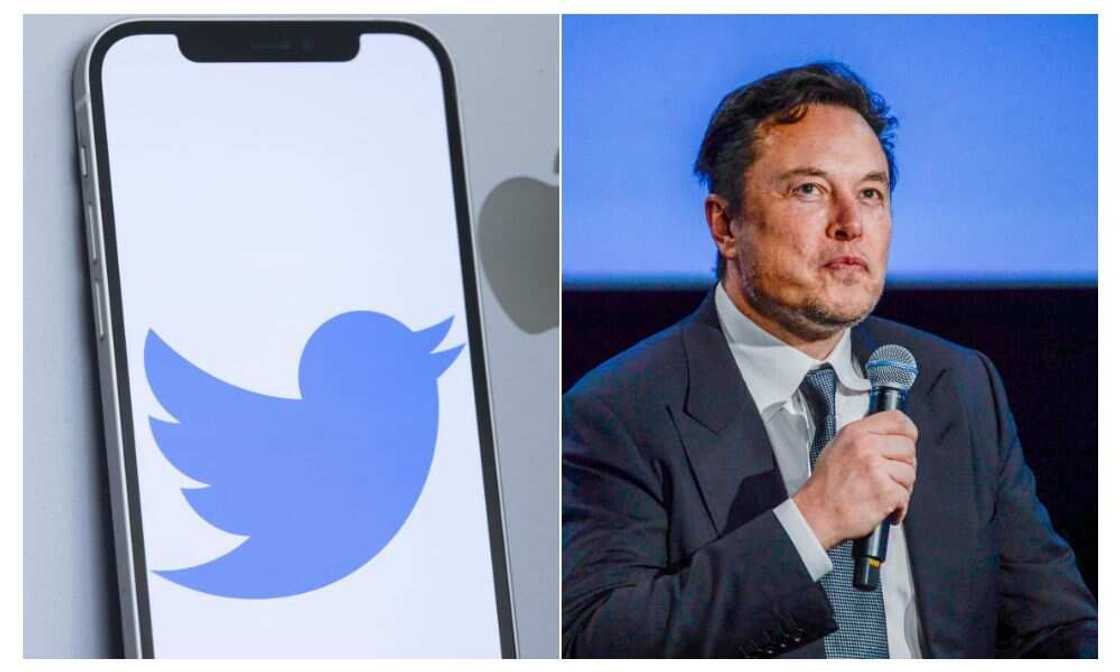 Apple, Twitter, Elon Musk Apple, Twitter, Elon Musk