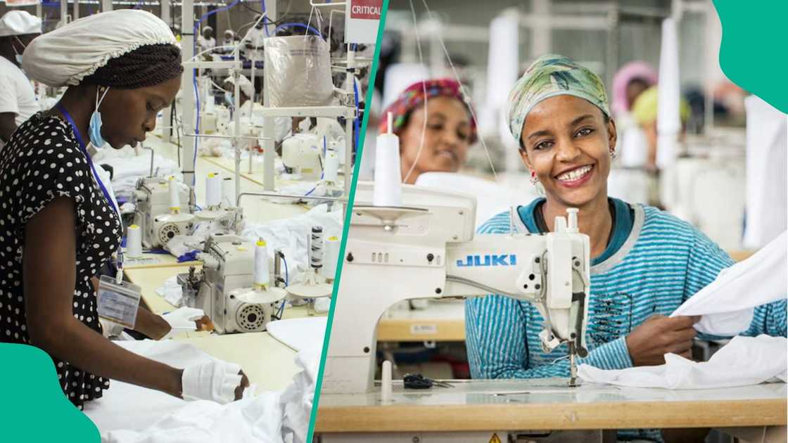FG Moves to Revive Nigeria’s Textile Industry After Sharp Decline in Cotton Production