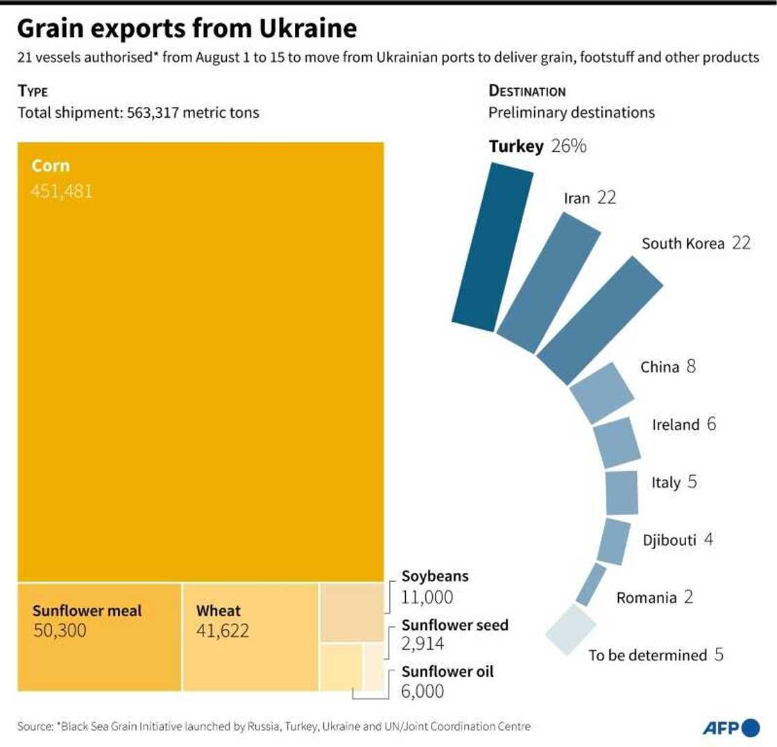 Grain exports from Ukraine