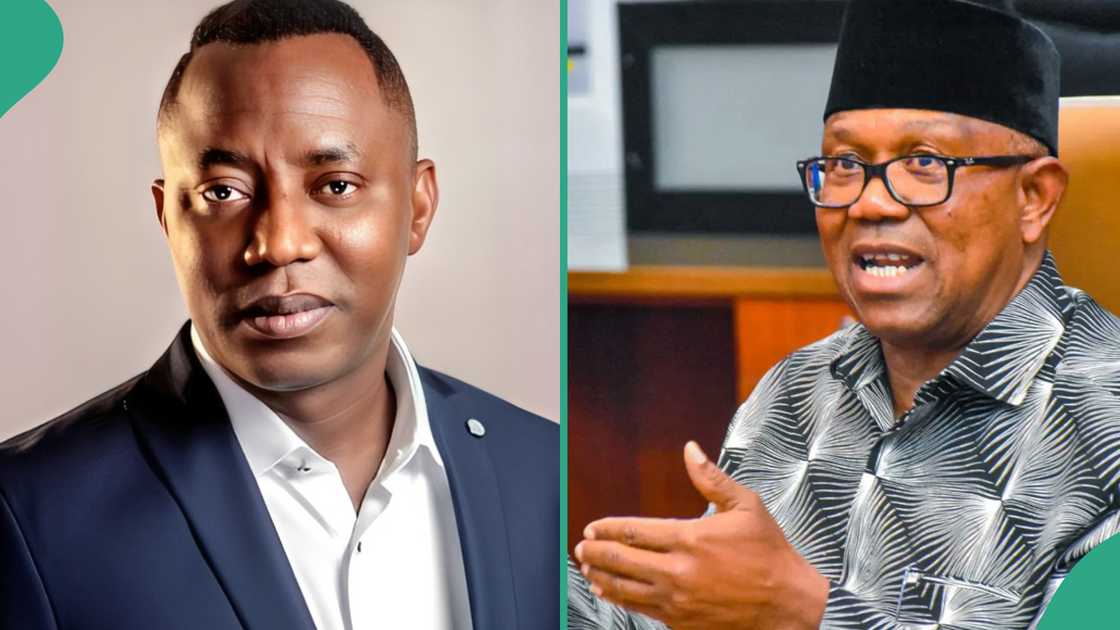Peter Obi, NLC demand immediate release of Sowore from police detention