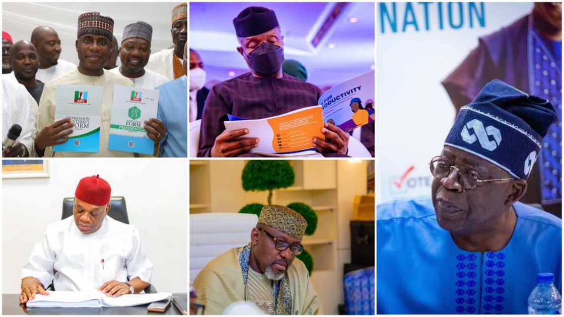 23 APC Presidential Aspirants, Buhari, 2023 23 APC Presidential Aspirants, Buhari, 2023