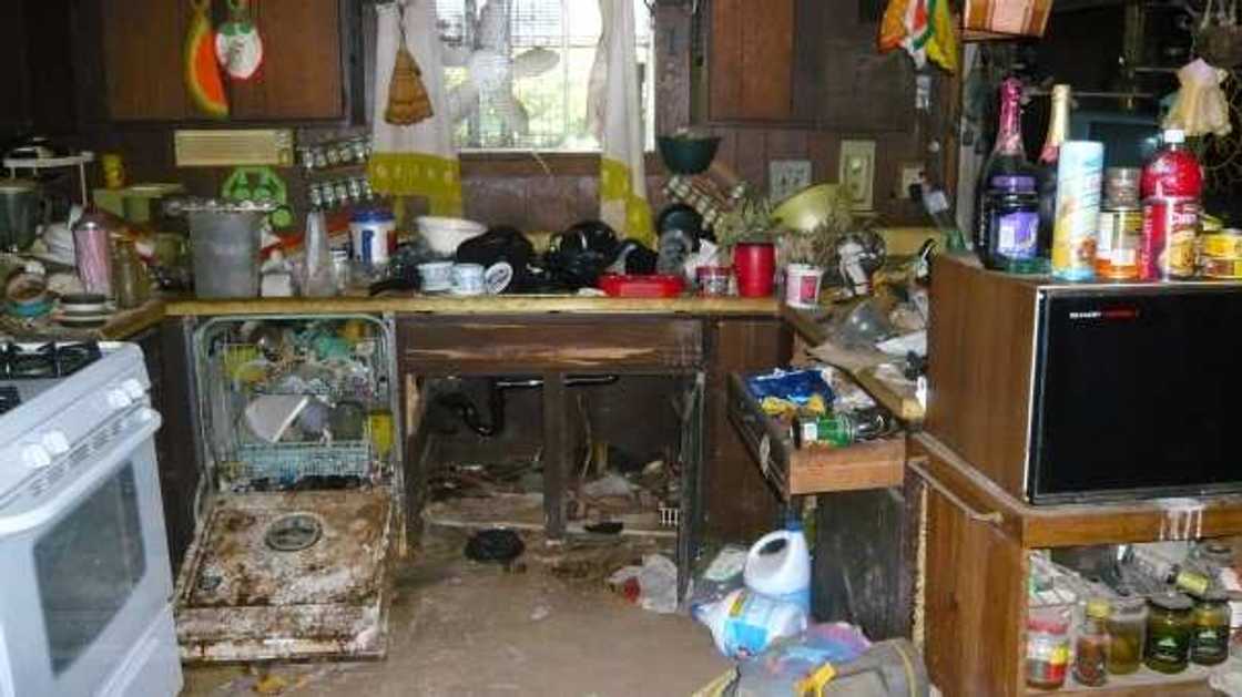 craziest hoarders episodes