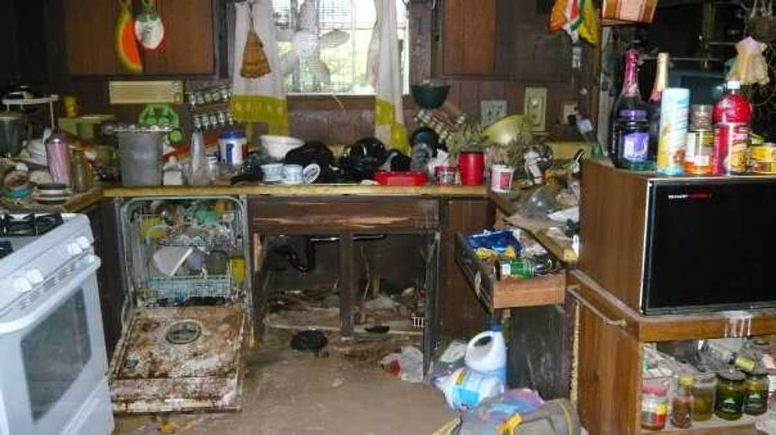 craziest hoarders episodes craziest hoarders episodes