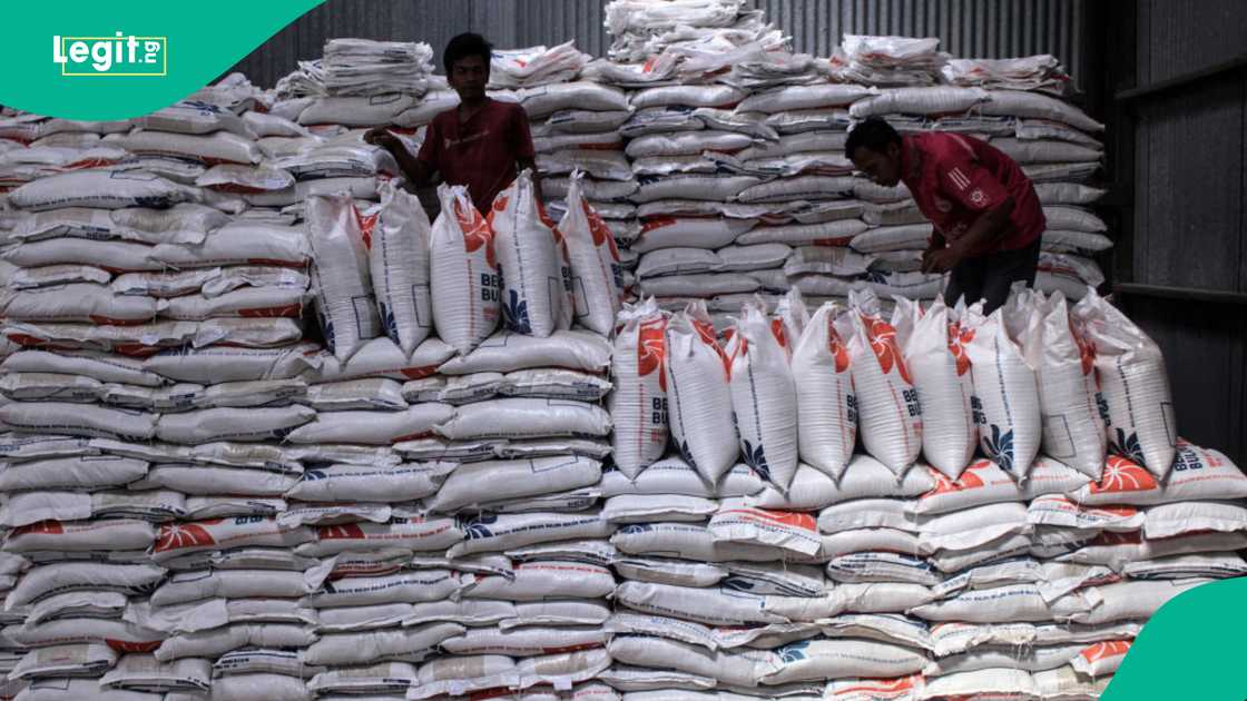 Price of rice rises to N160k as power outage worsens