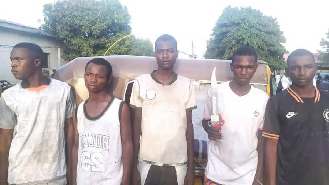 Kano: Ƴan sanda sun kama ɓata gari 59, sun ƙwato muggan makamai da ƙwayoyi Kano: Ƴan sanda sun kama ɓata gari 59, sun ƙwato muggan makamai da ƙwayoyi