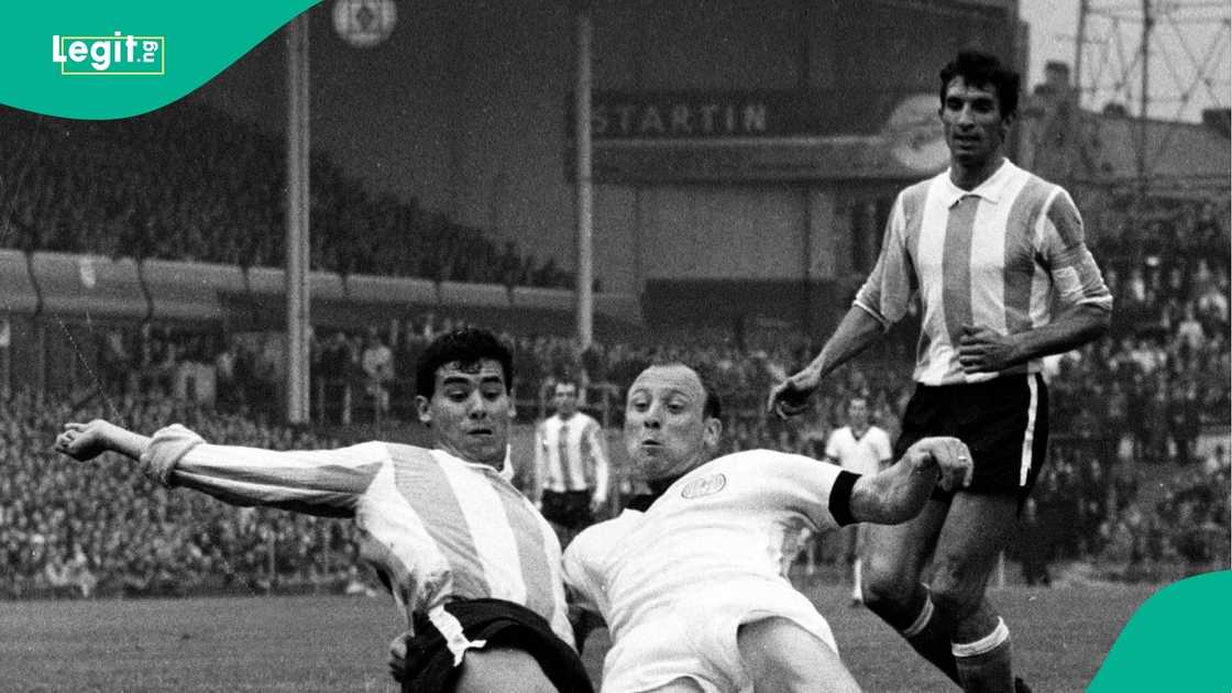 La Albiceleste, Argentina, Antonio Rattin, FIFA, World Cup, Germany. La Albiceleste, Argentina, Antonio Rattin, FIFA, World Cup, Germany.