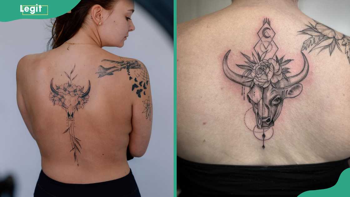 Bull head tattoo