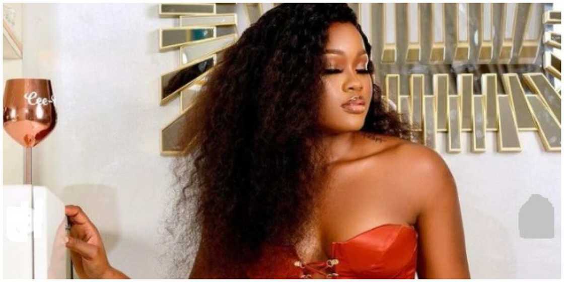 A photo of BBNaija Star Cee-C. A photo of BBNaija Star Cee-C.