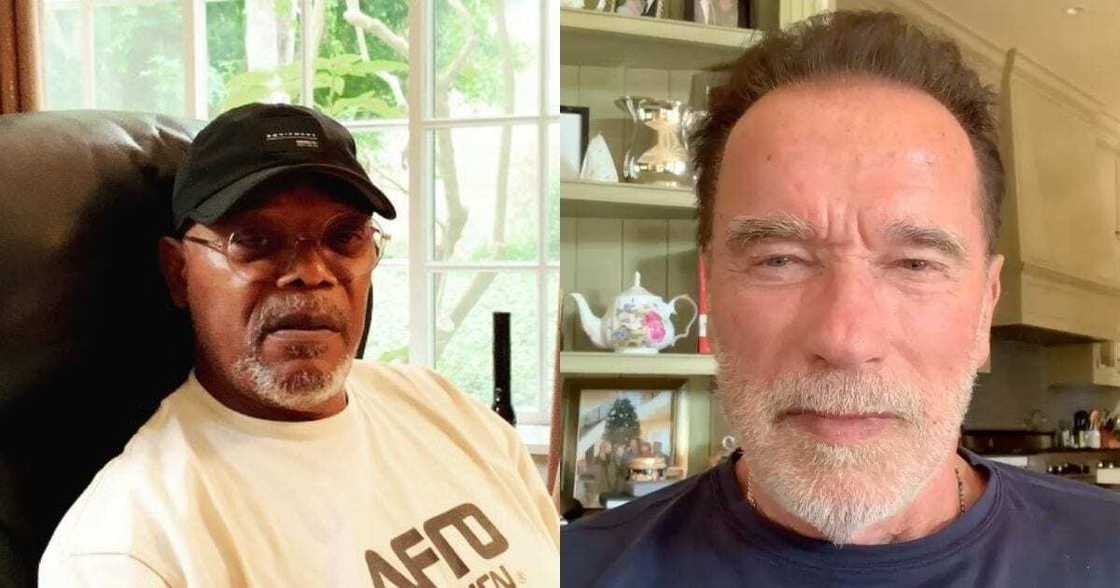Samuel L Jackson and 3 Celebs Who Have Received the Covid Vaccine Samuel L Jackson and 3 Celebs Who Have Received the Covid Vaccine