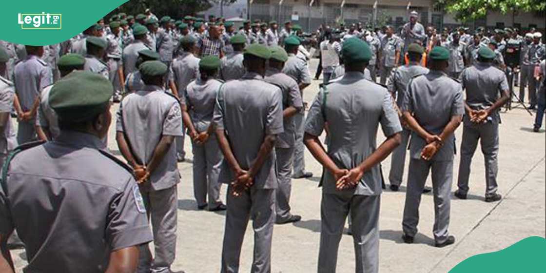Customs Releases Update on 2025 recruitment Customs Releases Update on 2025 recruitment
