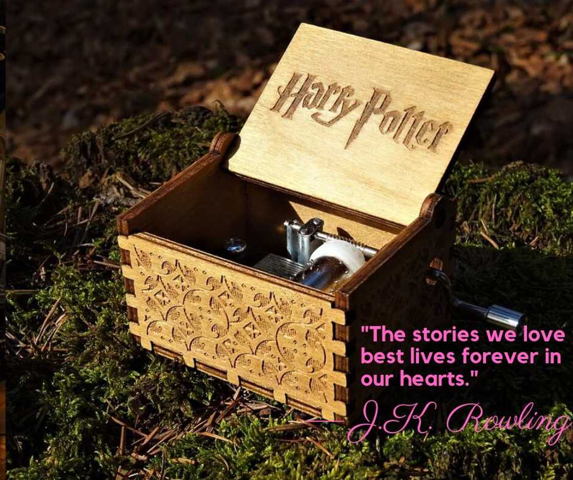Harry Potter movie quotes Harry Potter movie quotes