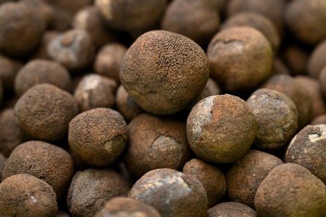 Large tracts of seabed around the Cook Islands are carpeted in polymetallic nodules, misshapen black globes encrusted with cobalt, nickel, manganese and other coveted metals Large tracts of seabed around the Cook Islands are carpeted in polymetallic nodules, misshapen black globes encrusted with cobalt, nickel, manganese and other coveted metals