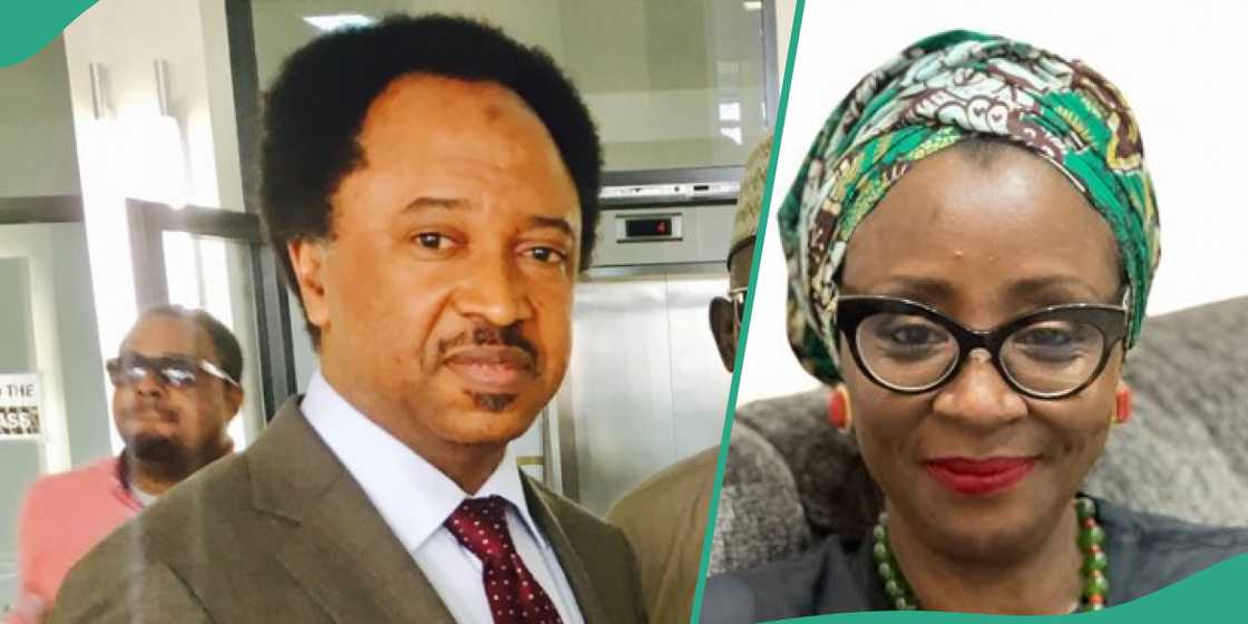 Nigerians react as El Rufai’s wife corrects Shehu Sani's grammar on Twitter