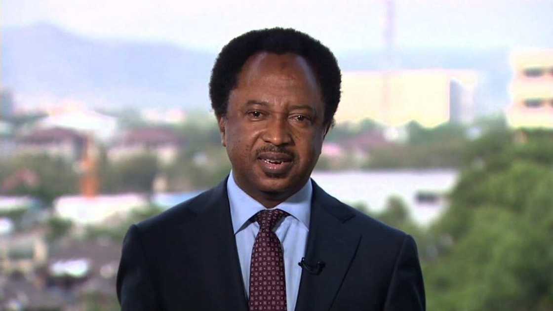 Shehu Sani ya tabo batun rikicin gwamnonin G-5