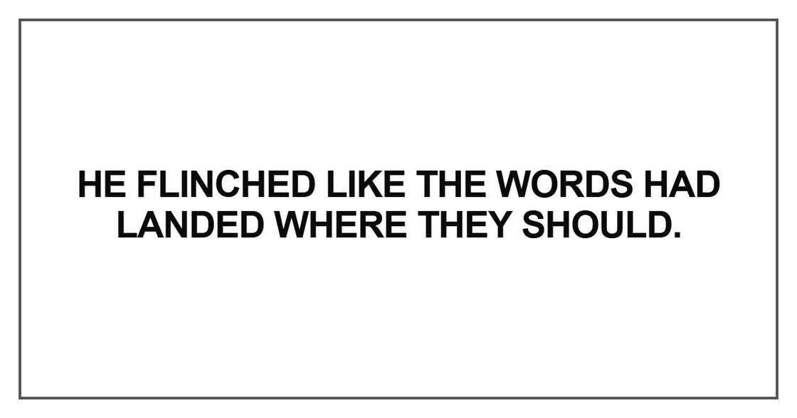 He flinched like the words He flinched like the words