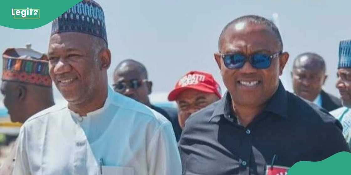 Peter Obi/Labour Party/2023 Presidential Election/Supreme Court