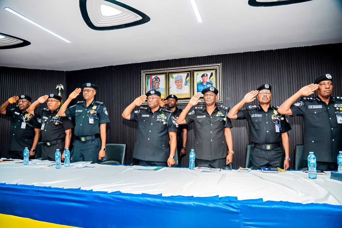 Senior Nigerian police officers standing and saluting Senior Nigerian police officers standing and saluting