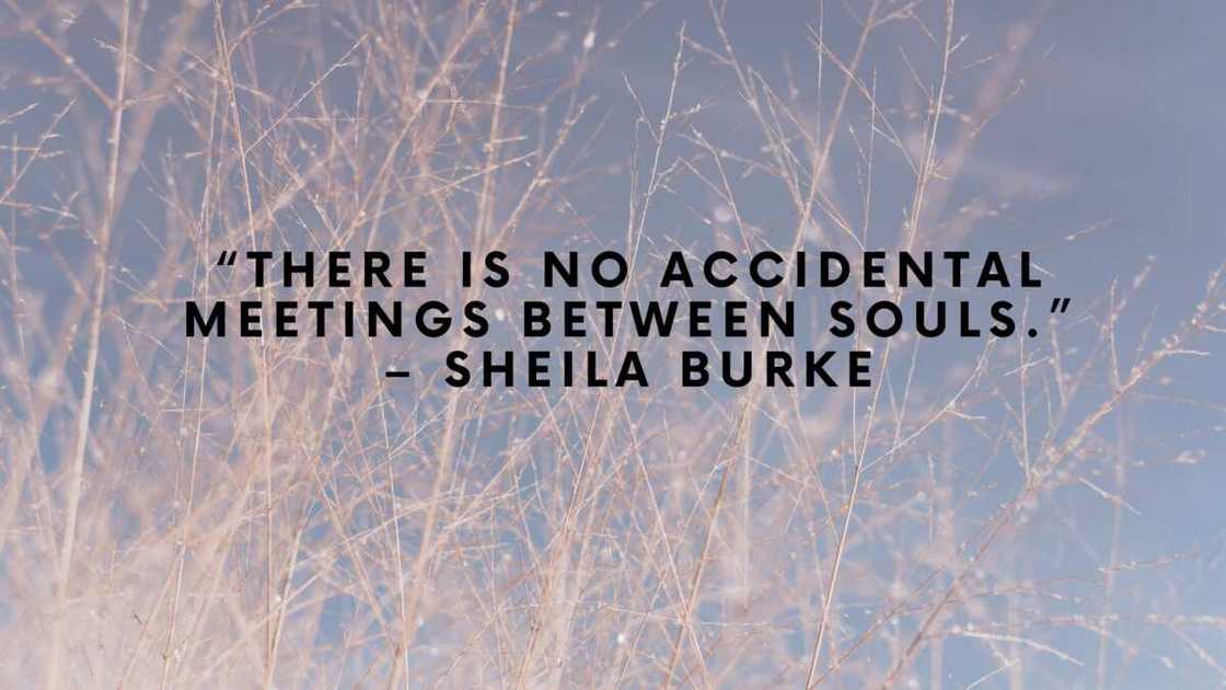 Deep soulmate love quotes Deep soulmate love quotes