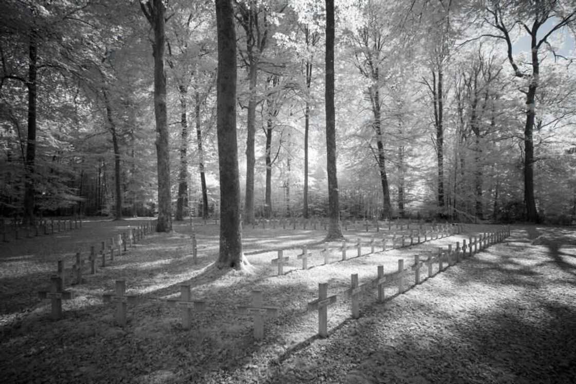 Ku kashe kwalkwatar Ido: Hotunan filin dagar da aka gwabza yakin duniya na daya Ku kashe kwalkwatar Ido: Hotunan filin dagar da aka gwabza yakin duniya na daya