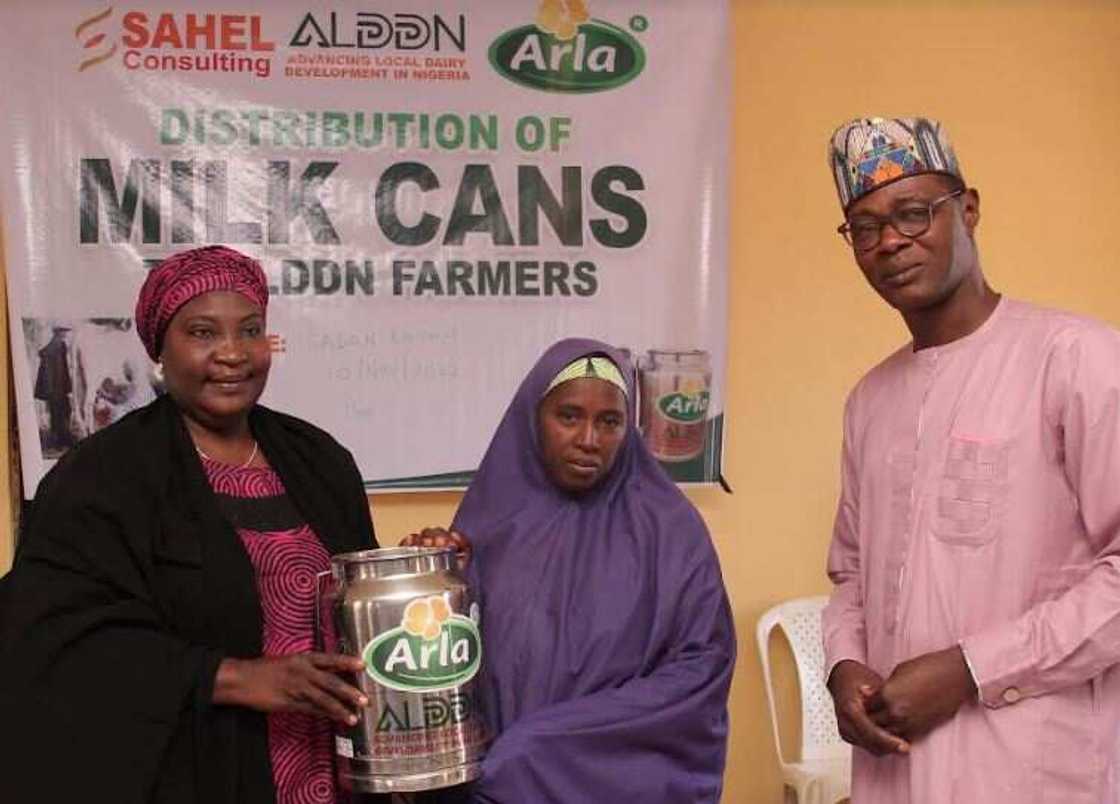 Local Dairy Farmers Excited, as Arla Foods Distributes Milk Cans to Improve Nigerian Milk Quality