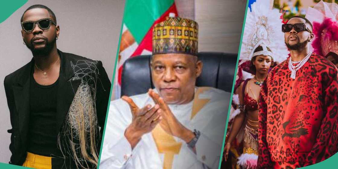 Shettima speaks on Kizz Daniels's Buga