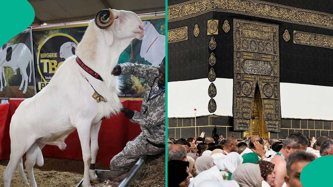 Saudi Arabia has announced that Eid al-Adha will be on Friday, June 6. Saudi Arabia has announced that Eid al-Adha will be on Friday, June 6.
