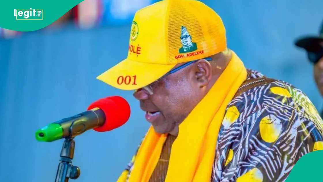 Gwamna Adeleke. Gwamna Adeleke.