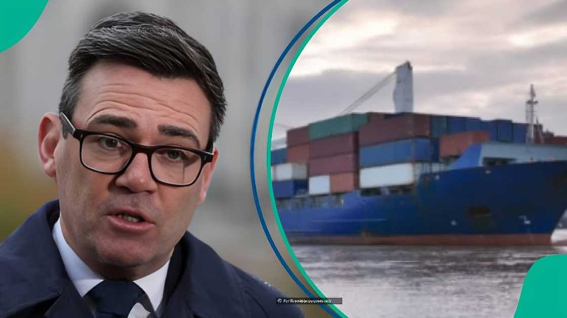 UK warns travellers not to bring 1 type of pet food into Britain UK warns travellers not to bring 1 type of pet food into Britain