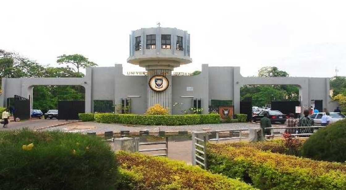 University of Ibadan UI student who wanted to study Medicine speaks about being transferred to Veterinary medicine University of Ibadan UI student who wanted to study Medicine speaks about being transferred to Veterinary medicine