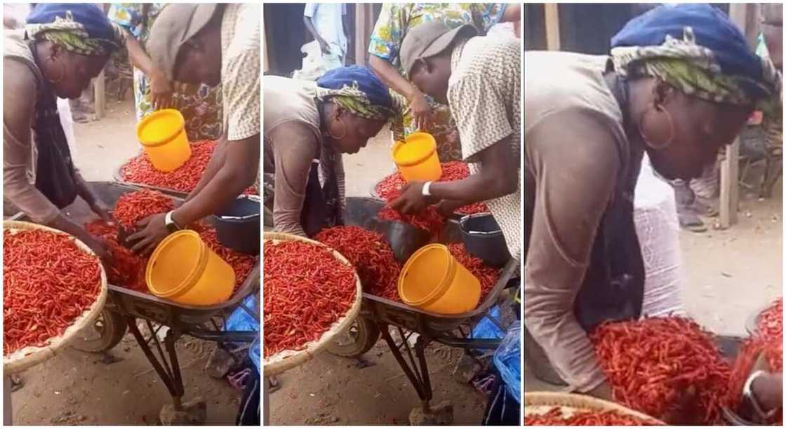 Photos of a woman buying pepper. Photos of a woman buying pepper.