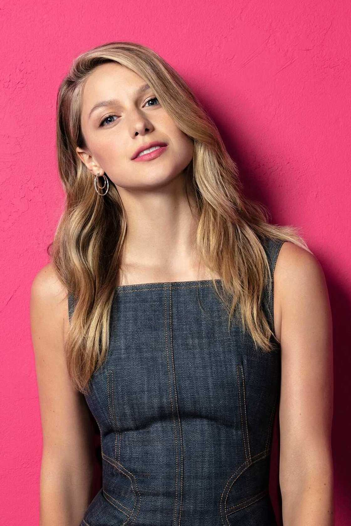 Melissa Benoist domestic violence