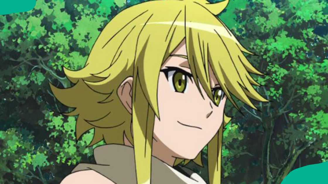 Leone from Akame ga Kill! Leone from Akame ga Kill!