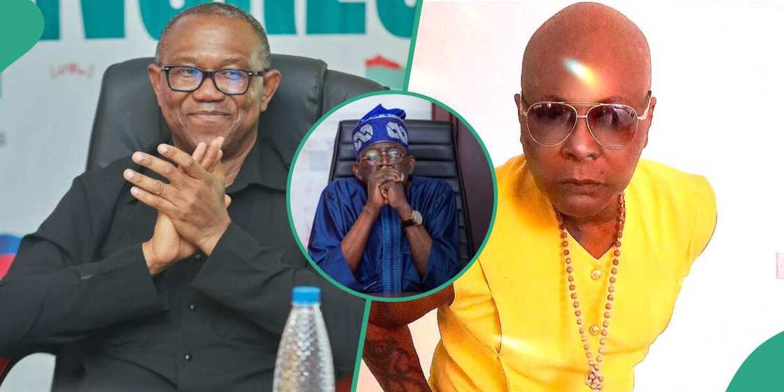 Charly Boy/Peter Obi/Tinubu/2023 Presidential Election Tribunal Charly Boy/Peter Obi/Tinubu/2023 Presidential Election Tribunal