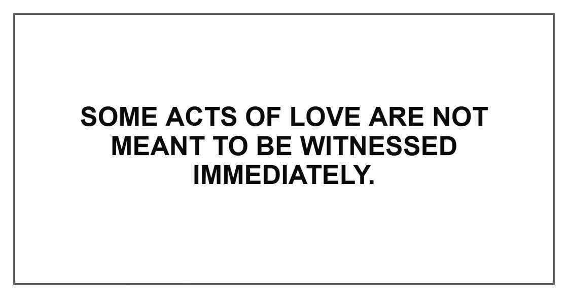 Some acts of love are not meant to be witnessed immediately. Some acts of love are not meant to be witnessed immediately.