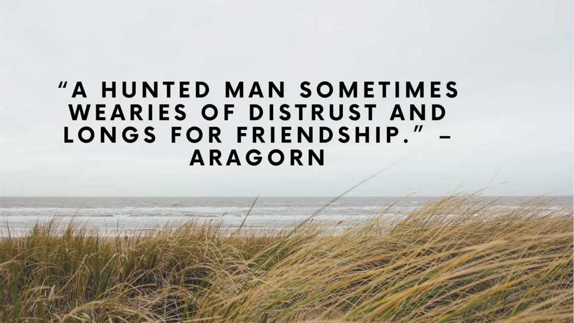 Lord of the Rings inspirational quotes Lord of the Rings inspirational quotes