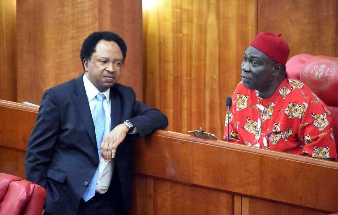 Shehu Sani Shehu Sani