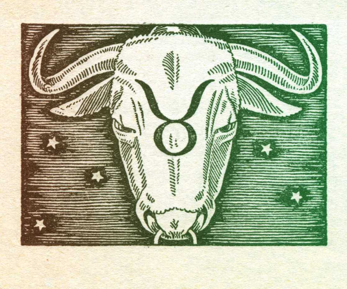 Taurus fun facts Taurus fun facts