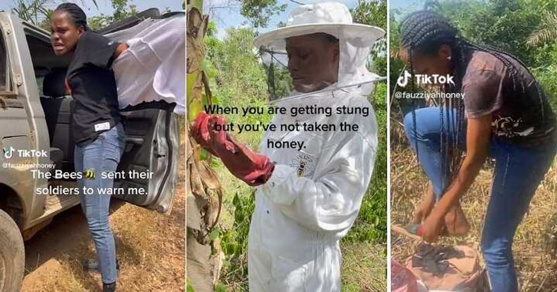 Lady visits beehive to extract honey