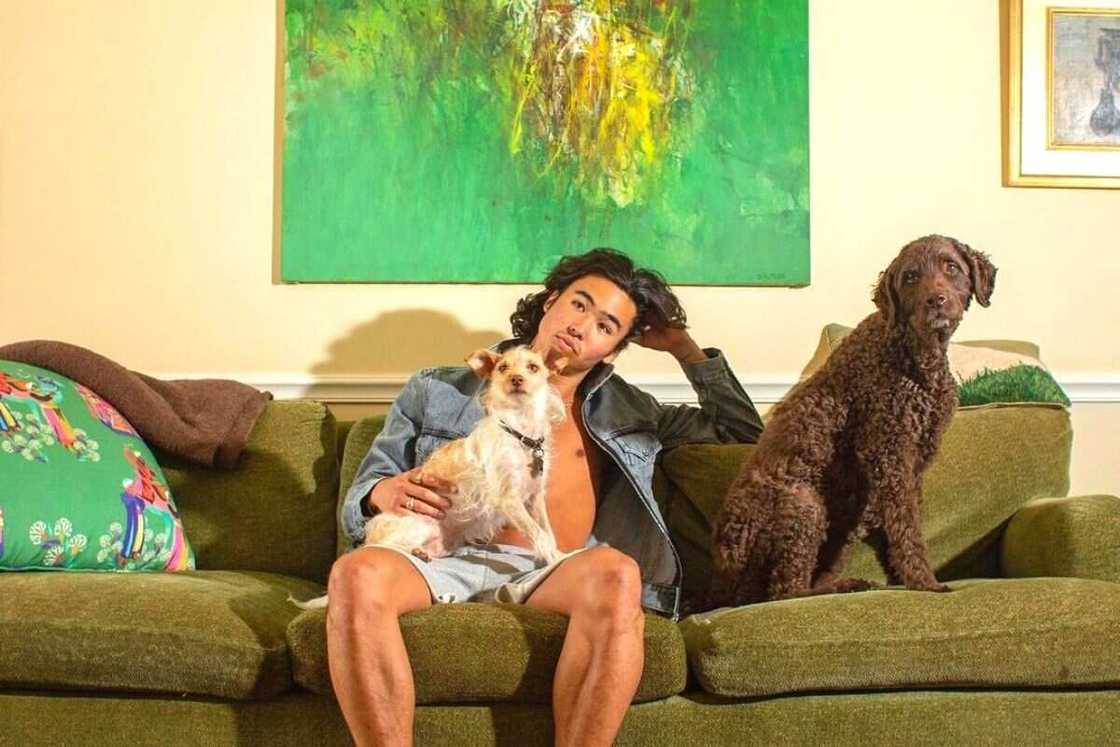 Nico Hiraga's movies Nico Hiraga's movies