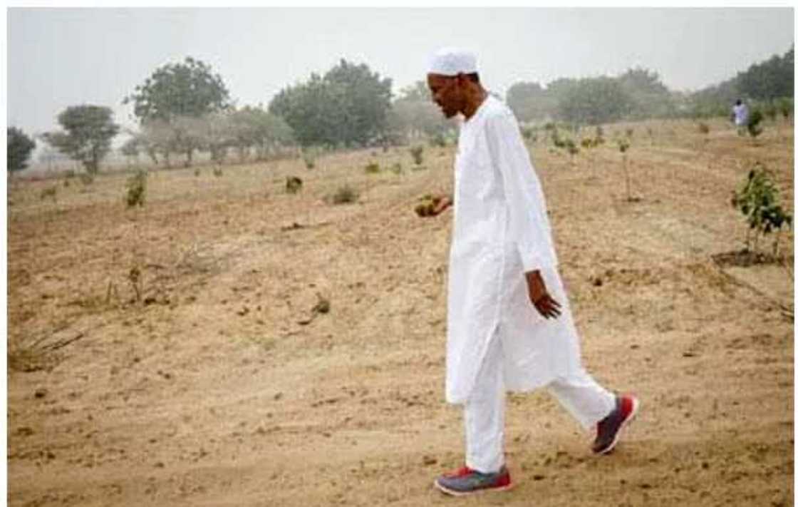 Buhari: Ba Domin Ni Ba, Da Mutane Sun Rika Taka Wa Daga Legas Zuwa Abuja Buhari: Ba Domin Ni Ba, Da Mutane Sun Rika Taka Wa Daga Legas Zuwa Abuja