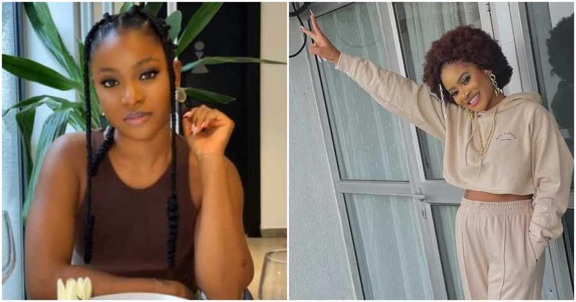 BBNaija, final diary session, Bella, Phyna, Biggie