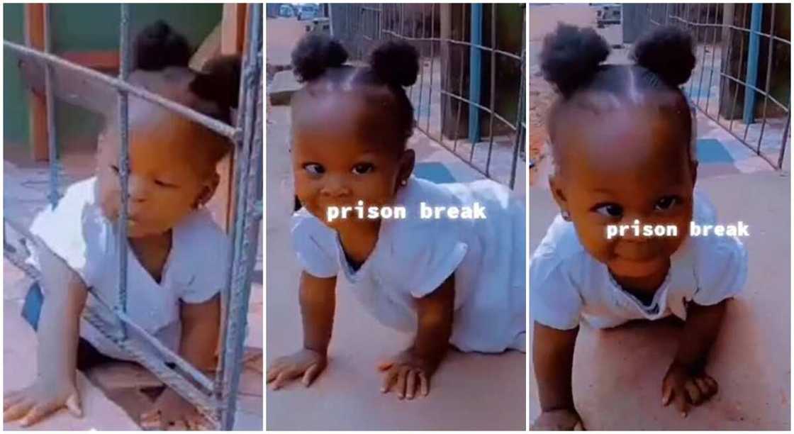 Photos of a baby trying to crawl out of iron bars. Photos of a baby trying to crawl out of iron bars.