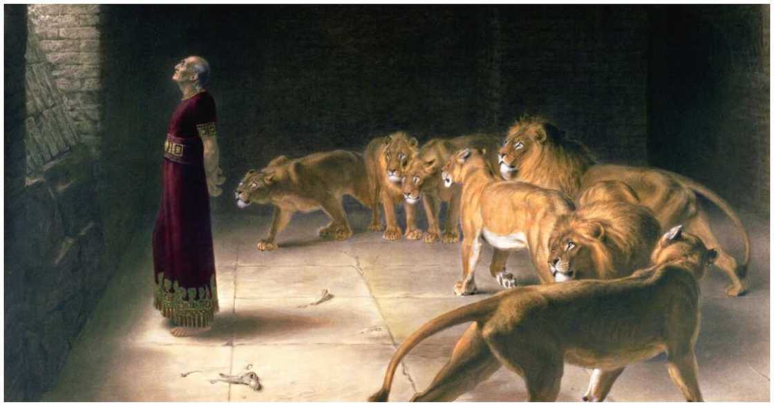Prophet Daniel Abodunrin, University of Ibadan zoo in 1991, Nigerian prophet eaten by lions in 1991 Prophet Daniel Abodunrin, University of Ibadan zoo in 1991, Nigerian prophet eaten by lions in 1991